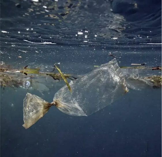 Plastic waste floating in the sea